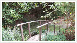 Buddha Garden or the Buddha Jayanti Park 