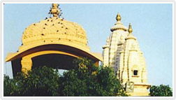 Chattarpur Mandir 
