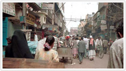 Old Delhi 