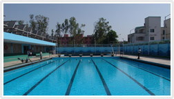 Sports Stadium 
