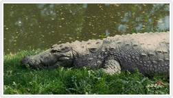 National Zoological Park 